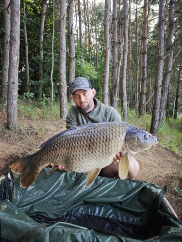 15kg, boilies Pikantní perník