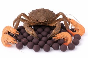 Boilies - MONSTER CRAB - Ø 24 mm (Krmiva Hulín, BOMC24-1) | Krmiva Hulín