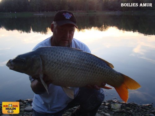 Boilies Amur