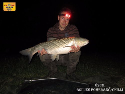 82cm, boilies pomeranč a chilli