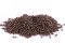 Plovoucí krmivo - GROWER 13 EF  Coppens - Ø 6 mm (Coppens, PKG6-1) | Krmiva Hulín
