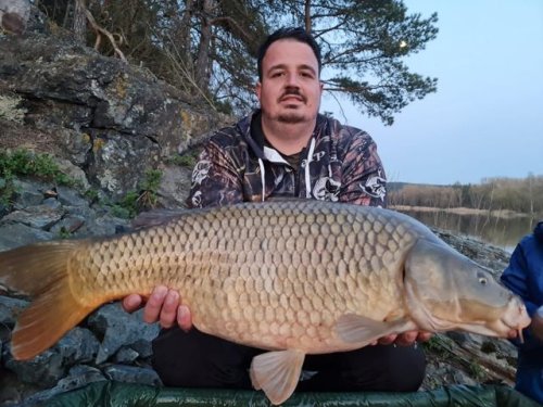 15 kg, Dipovaná peleta Black halibut Pikantní krill