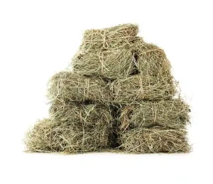 SENO LUČNÉ ČISTÉ - lisované (Vyrobeno v ČR, SLČ-1) | Krmiva Hulín