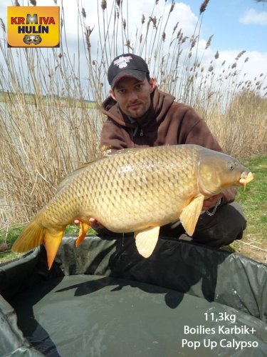 11,3kg, boilies Karibik, pop up Calypso