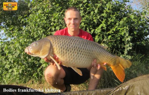 Boilies frankfurtská klobása