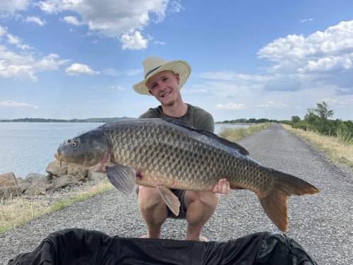 Boilies Krill a oliheň + pop up Oliheň