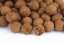 Boilies - HOT CHILLI CALANUS - Ø 20 mm - Vyberte balení: 5 kg