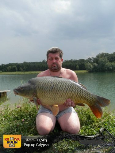 92cm, 13,5kg, pop up Calypso