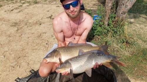 Boilies Krill/Oliheň
