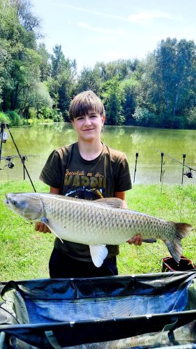 Boilies Amur speciál