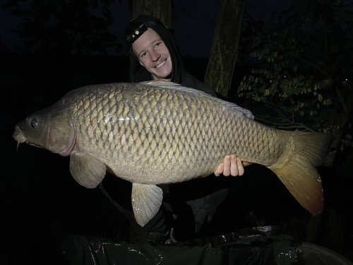 19,9kg, boilies Pikantní perník