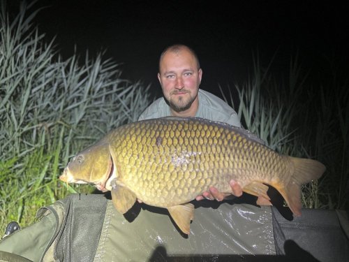 Boilies Pikantní krill