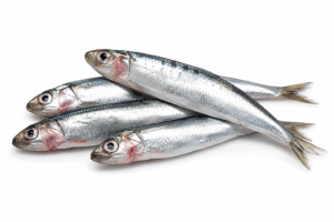 SARDINKY CELÉ - Mražené nástražní rybičky 15 cm (SCM-1) | Krmiva Hulín