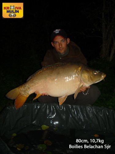 80cm, 10,7kg, boilies Belachan/Sýr, svazová voda