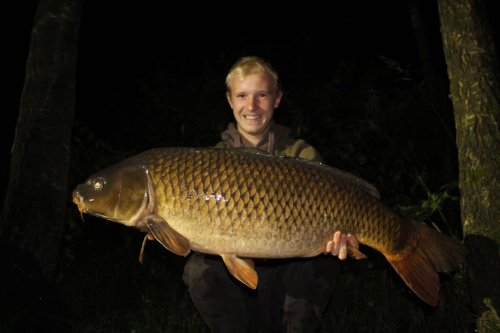 17kg, boilies Pikantní krill