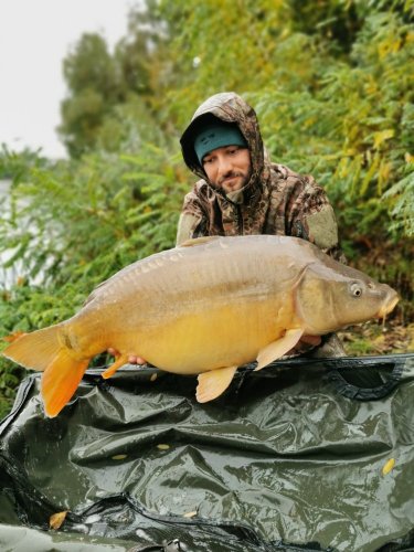 13,5kg, boilies Krill a oliheň
