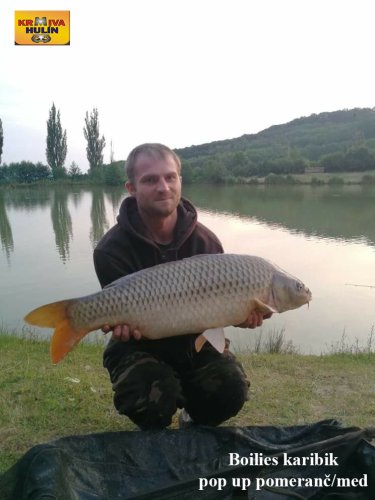 10,5kg, boilies karibik, pop up pomeranč/med