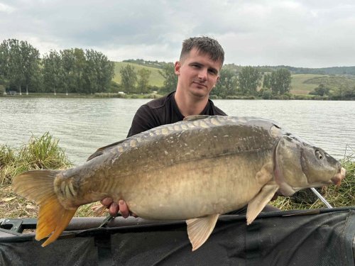 Boilies Pikantní krill