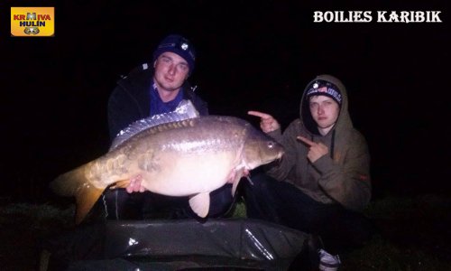 Boilies Karibik