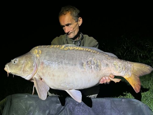 Boilies Pikantní perník
