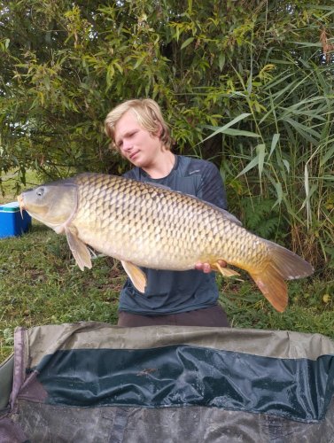 12,5kg, boilies Brambora a Červ