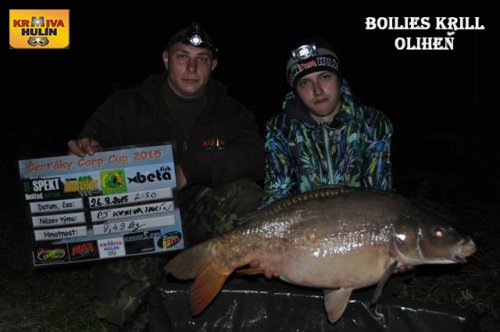 Boilies Krill/Oliheň